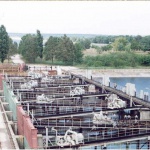 rybzag